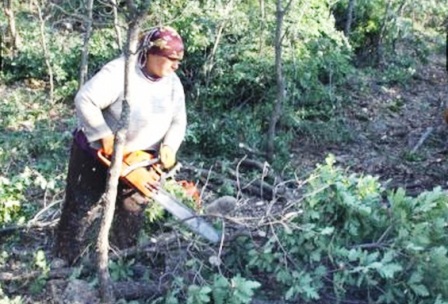 Ormanda Çalışarak Ailesine Destek oluyor