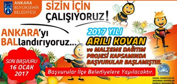 Ankara’da Arı Kovanı Dağıtılacak