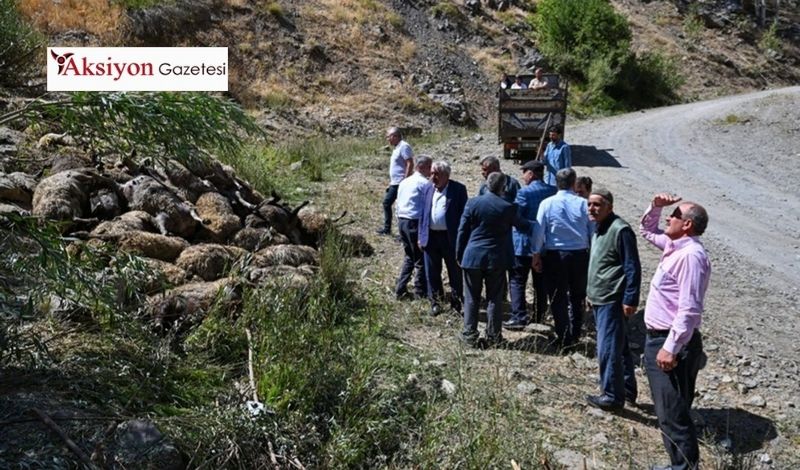 Çatak’ta 334 Küçükbaş Hayvan Telef Oldu