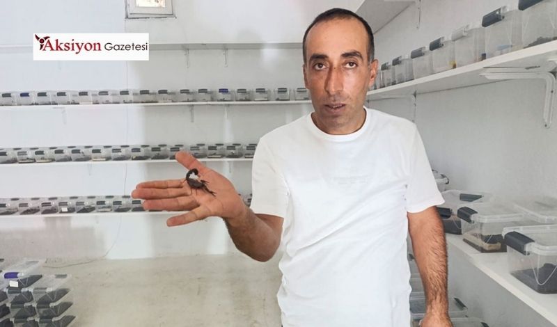 İnşaat ustasından milyonluk girişim