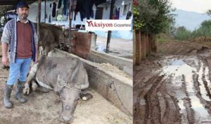 Ege’yi vuran selde hayvanlar akıntıya kapıldı